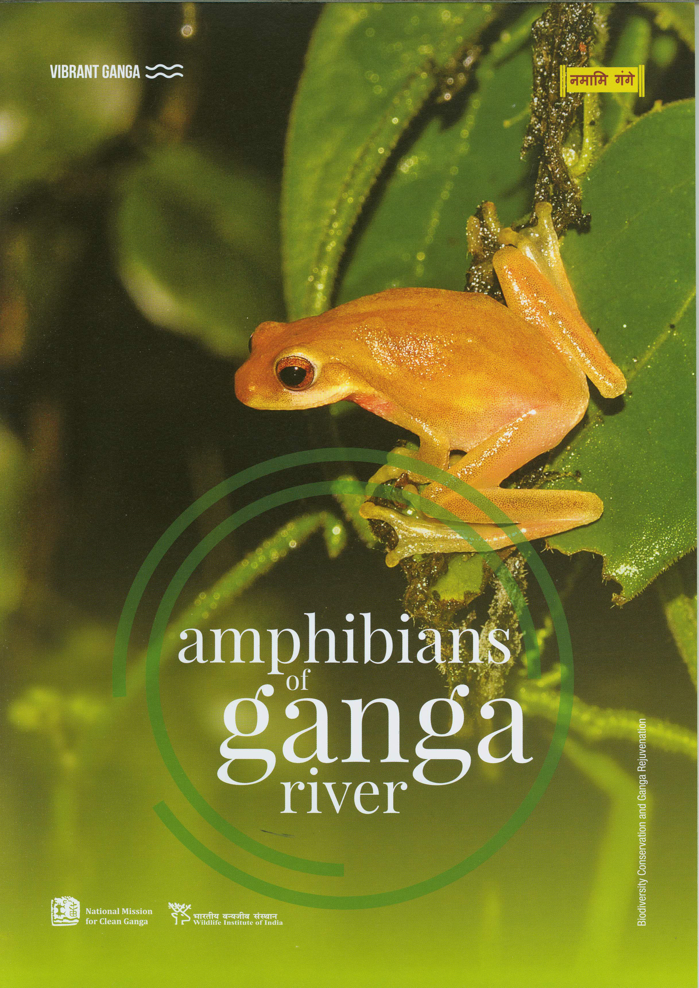 Amphibiansimg